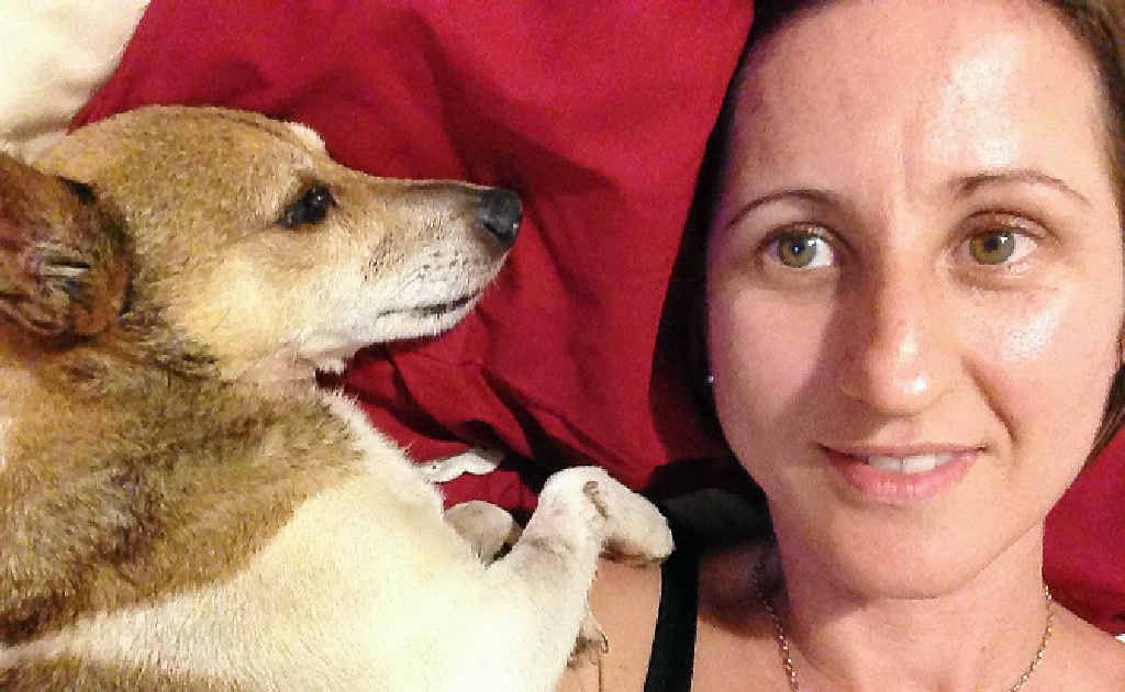 Goonellabah’s Jude Costello with her miniature fox/Tenterfield terrier Sunny, who went missing after a break in at Ms Costello’s Camelot Estate home on Saturday. Photo Contributed Goonellabah’s Jude Costello with her miniature fox/Tenterfield terrier Sunny, who went missing after a break in at Ms Costello’s Camelot Estate home on Saturday. Photo Contributed