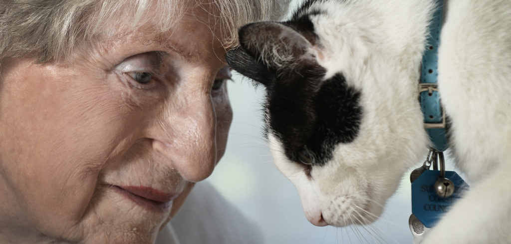 Tricare Kawana have pets for therapy program to boost morale with the elderly residents. Resident Anne Simpson, 95, takes time out with Augie, Photo Patrick Woods / Sunshine Coast Daily Tricare Kawana have pets for therapy program to boost morale with the elderly residents. Resident Anne Simpson, 95, takes time out with Augie, Photo Patrick Woods / Sunshine Coast Daily