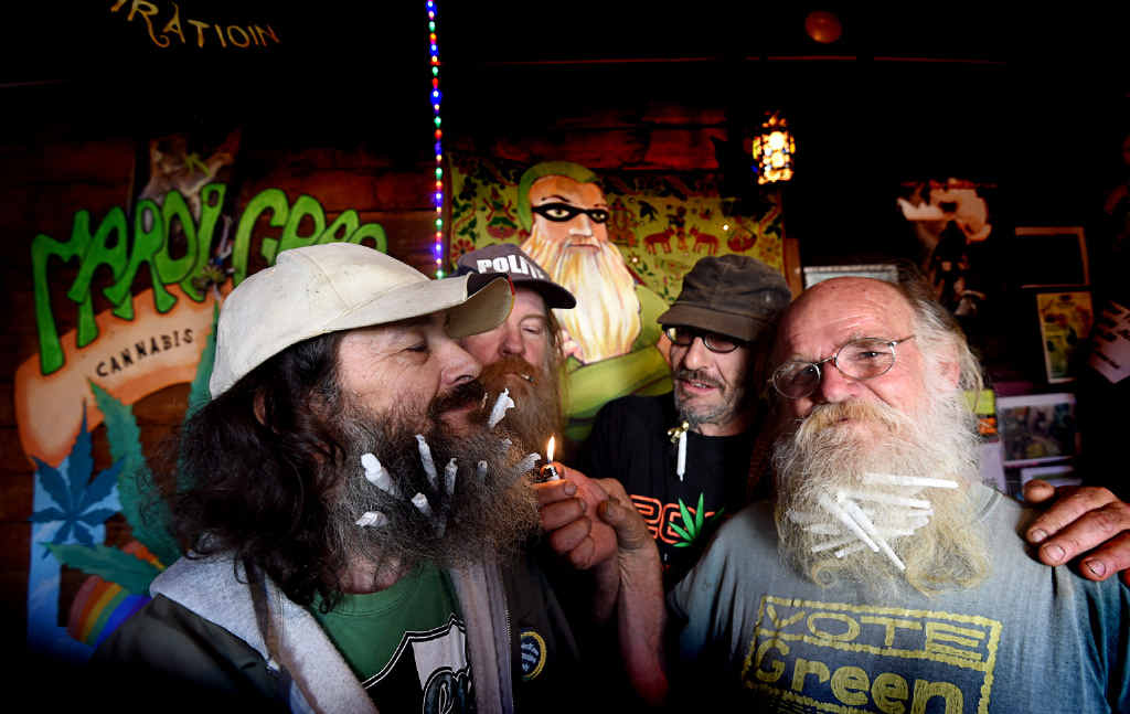 CANNABIS CAPERS: Dave Carr, Max Stone, Sam Bernard and HEMP Embassy president Michael Balderstone practise for a new event at this year’s Mardigrass – Beard Stash, where participants have to hide as many buds in their beards as they can. CANNABIS CAPERS: Dave Carr, Max Stone, Sam Bernard and HEMP Embassy president Michael Balderstone practise for a new event at this year’s Mardigrass – Beard Stash, where participants have to hide as many buds in their beards as they can.