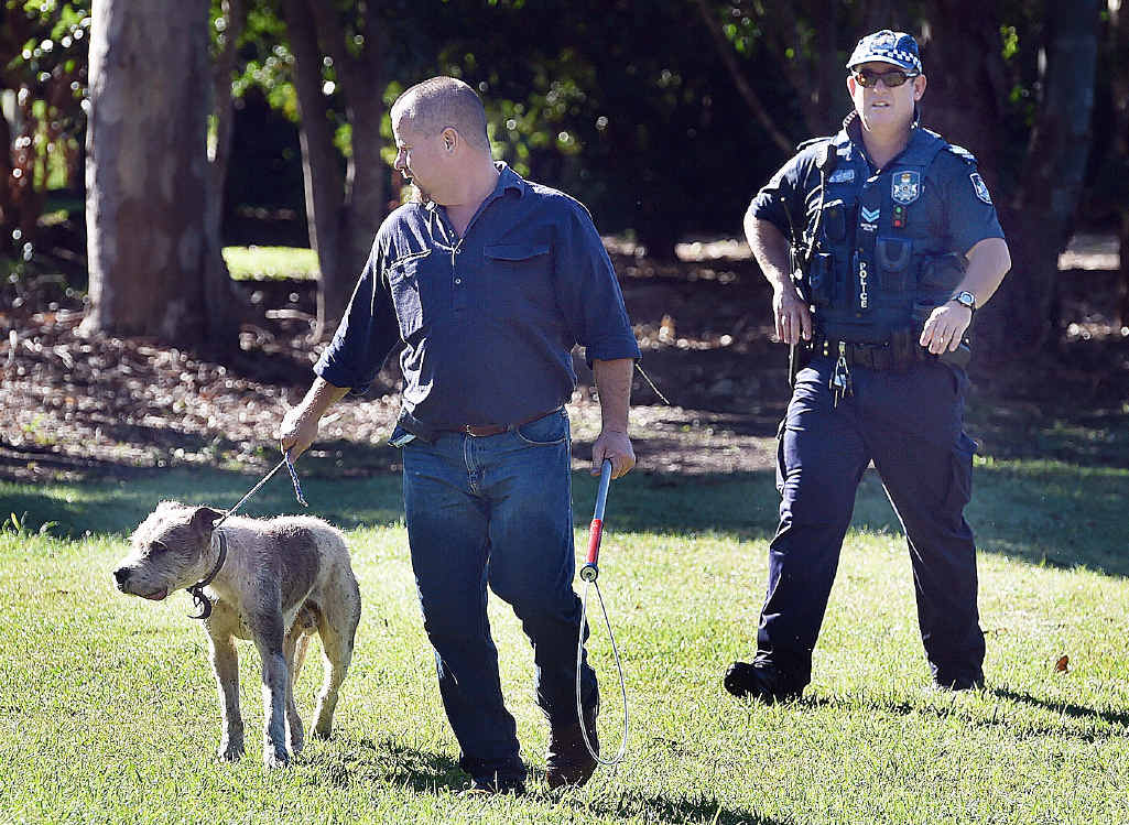 PUT DOWN: One of the dogs that mauled a pony at a Doolong Road property is taken by a council compliance officer. PUT DOWN: One of the dogs that mauled a pony at a Doolong Road property is taken by a council compliance officer.