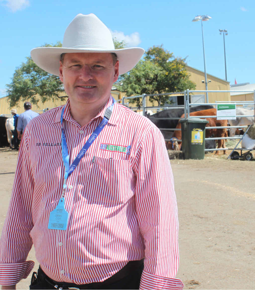 READY: Chief Executive Officer of Beef Australia Denis Cox oversees the final preparations at Rockhampton Showgrounds in the lead up to today. READY: Chief Executive Officer of Beef Australia Denis Cox oversees the final preparations at Rockhampton Showgrounds in the lead up to today.