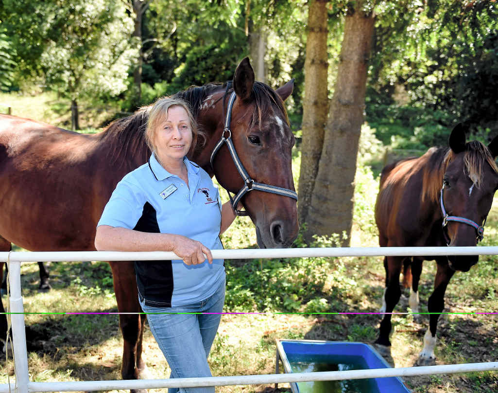 FACING CRITICISM: Burpengary Riding for the Disabled president Jane Sayer says floodwaters hit so quickly it was difficult to move horses to safe ground. FACING CRITICISM: Burpengary Riding for the Disabled president Jane Sayer says floodwaters hit so quickly it was difficult to move horses to safe ground.