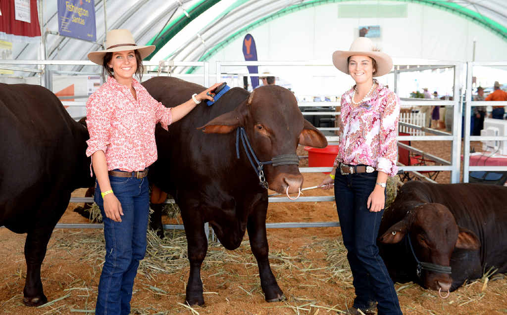 AUSTRALIAN ICON: Molly Kruger and Maddy Page show off their Akubras at Beef Australia 2015. AUSTRALIAN ICON: Molly Kruger and Maddy Page show off their Akubras at Beef Australia 2015.