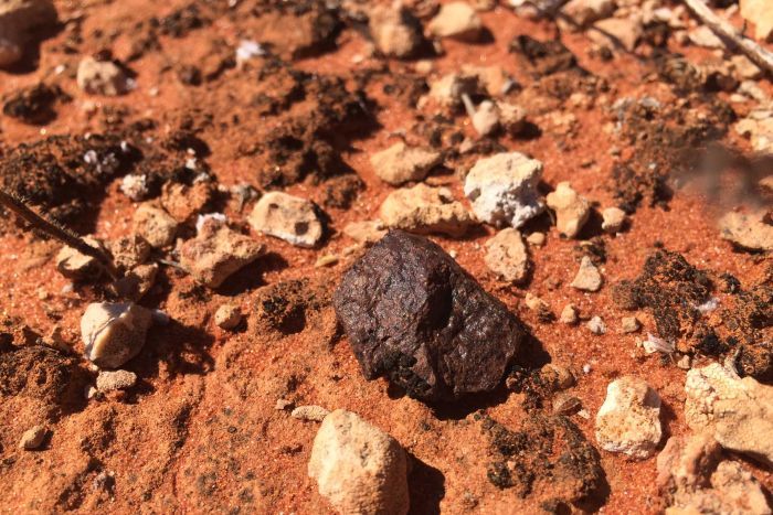 A meteorite in the Nullarbor, found by a group of crowd-funded researchers. Supplied: Alastair Tait A meteorite in the Nullarbor, found by a group of crowd-funded researchers. Supplied: Alastair Tait