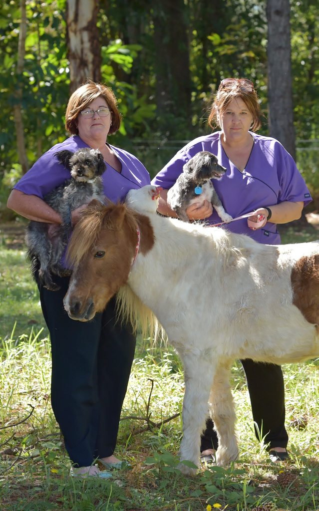 Animal lovers Nola Murphy, left, and Jo Gregory from Pets Eternal have offered to cremate the greyhounds that were discovered in bushland in Bundaberg and are now preparing a memorial with a greyhound foster care group. Animal lovers Nola Murphy, left, and Jo Gregory from Pets Eternal have offered to cremate the greyhounds that were discovered in bushland in Bundaberg and are now preparing a memorial with a greyhound foster care group.