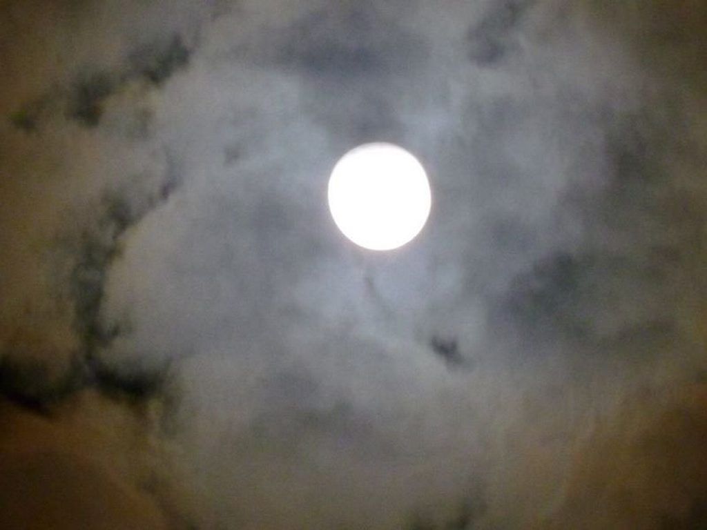 Gwenda Mould's photo of the moon. Photo Contributed