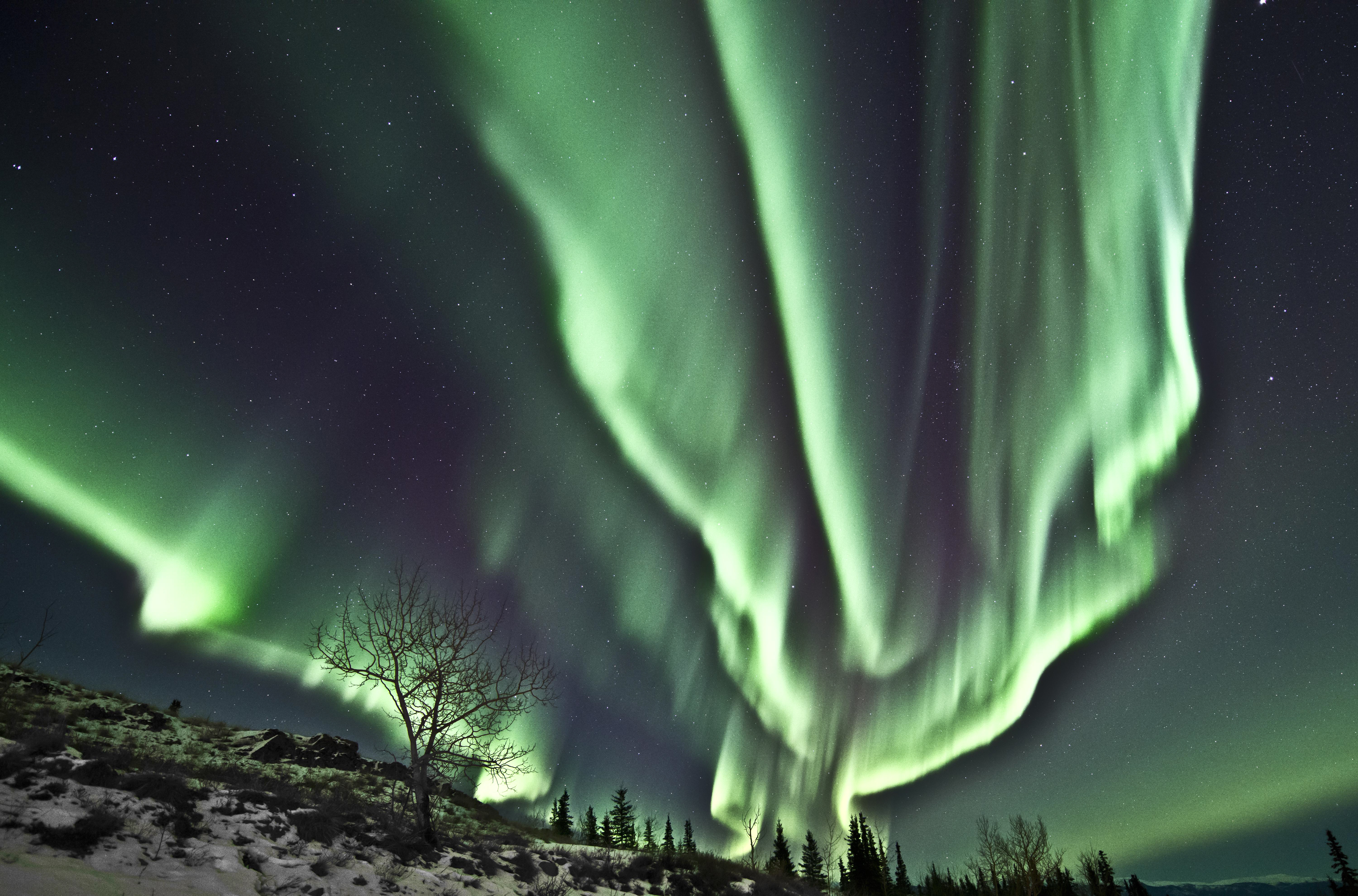 Aurora Borealis. Photo: Tourism Yukon Aurora Borealis. Photo: Tourism Yukon
