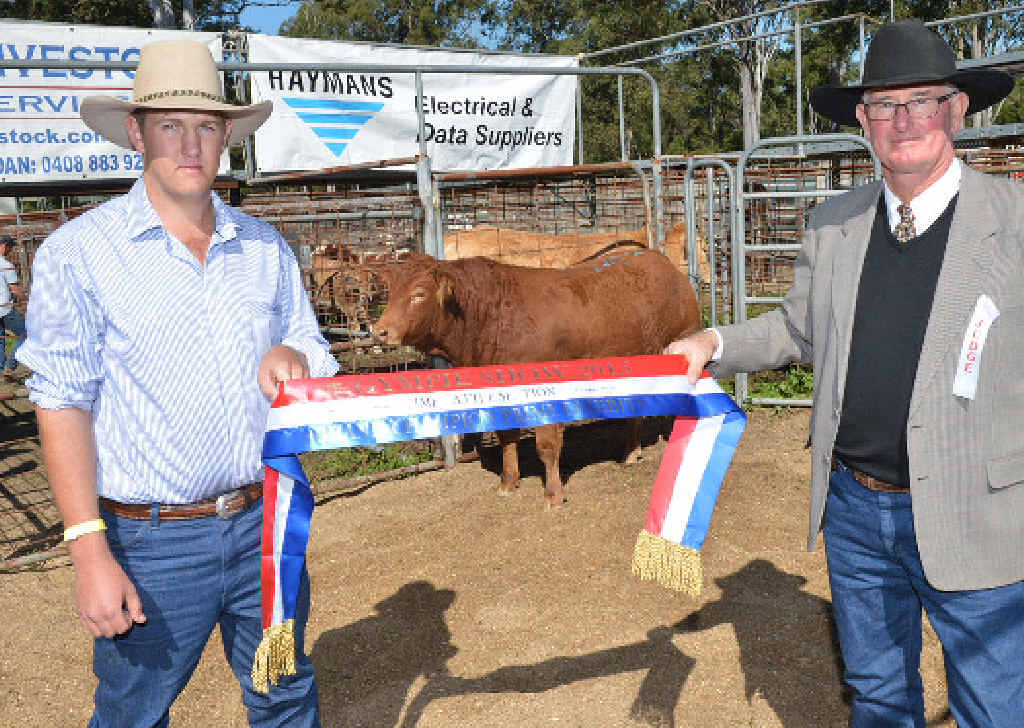 WINNING WAYS: Proud Kenilworth cattleman John Ferriday and Gympie Show prime cattle judge Steve Dunn, of Murgon, enjoy the moment with Mr Ferriday’s Grand Champion heifer. WINNING WAYS: Proud Kenilworth cattleman John Ferriday and Gympie Show prime cattle judge Steve Dunn, of Murgon, enjoy the moment with Mr Ferriday’s Grand Champion heifer.