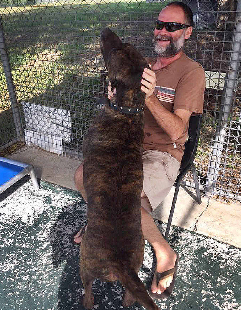 BITTERSWEET MOMENT: Kev Thomas visits his dog Bruce at the Ipswich pound. BITTERSWEET MOMENT: Kev Thomas visits his dog Bruce at the Ipswich pound.