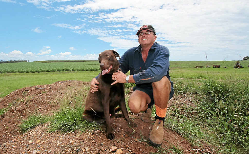 NO SURPRISE: Bidwill cane farmer Allen Birt said he wasn’t surprised drought status had been revoked. NO SURPRISE: Bidwill cane farmer Allen Birt said he wasn’t surprised drought status had been revoked.