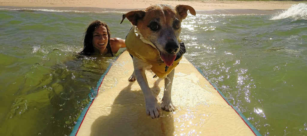 LOVED THE BEACH: Tegan Lloyd with her beloved jack russell terrier, Ruby. Nothing could be done to save the dog after a brutal attack. LOVED THE BEACH: Tegan Lloyd with her beloved jack russell terrier, Ruby. Nothing could be done to save the dog after a brutal attack.
