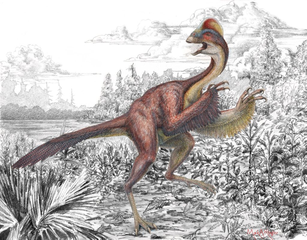 The Chicken from Hell. Check out 2015's top 10 latest discoveries The Chicken from Hell. Check out 2015's top 10 latest discoveries
