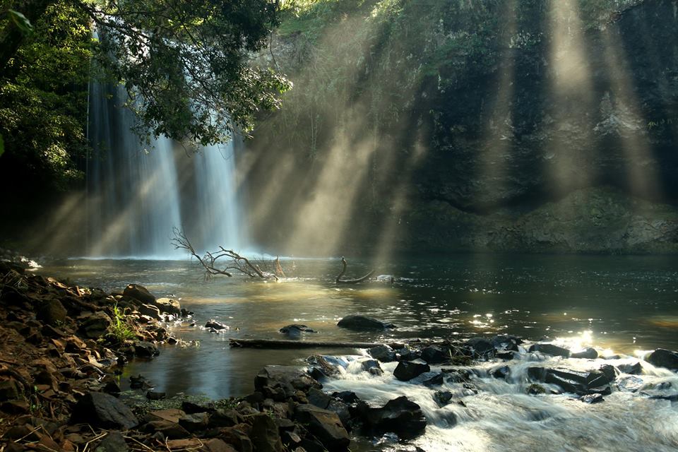 Sunlight and waterfalls at Killen Falls near Tintenbar. Sunlight and waterfalls at Killen Falls near Tintenbar.