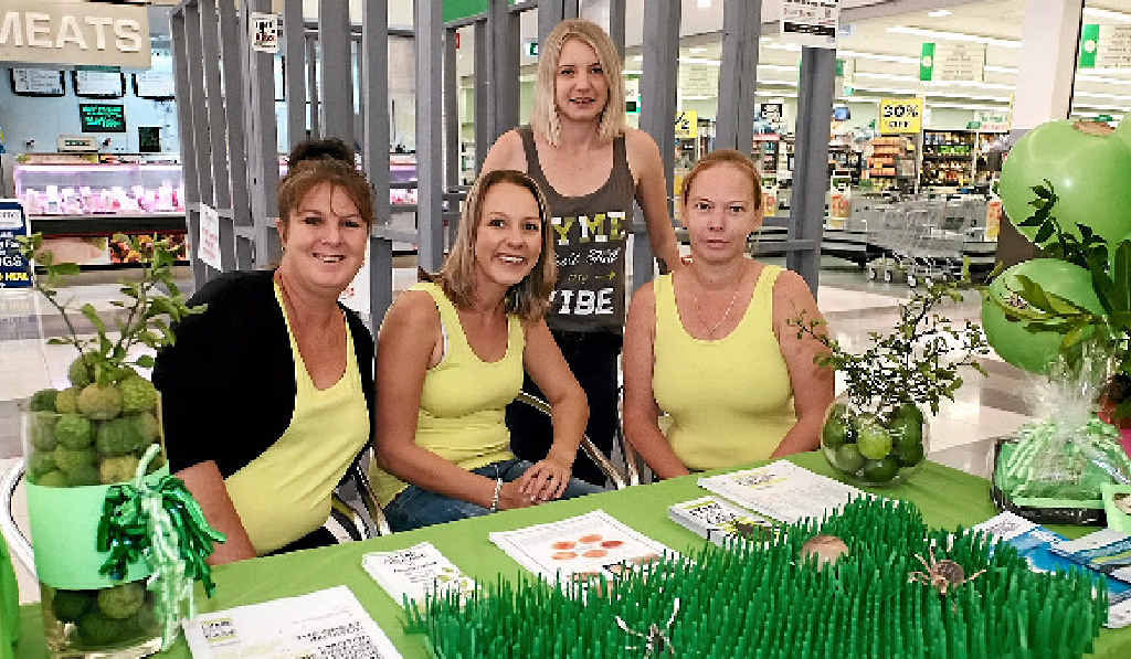 BITING BACK: Nikki Brown, Jess Rowe, Beki Seekamp and Peita Rolling held a Lyme disease stall at Whitsunday Plaza. BITING BACK: Nikki Brown, Jess Rowe, Beki Seekamp and Peita Rolling held a Lyme disease stall at Whitsunday Plaza.