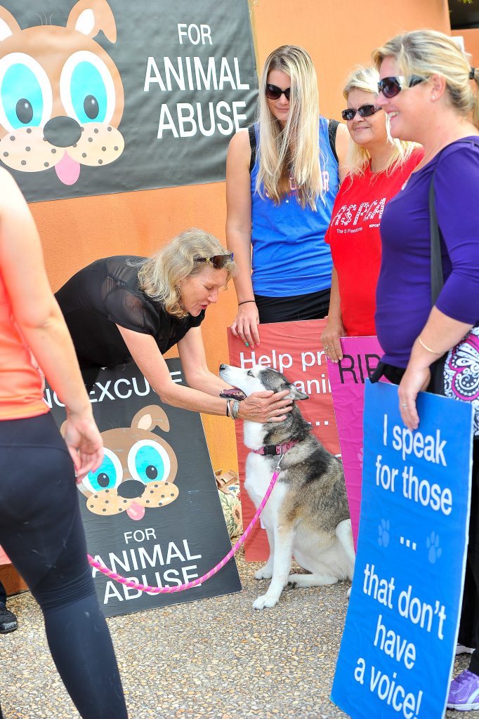 Animal cruelty protesters outside Gladstone Courthouse were pleased to see Misty looking so healthy. Misty's former owner faces charges of cruelty and neglect. Animal cruelty protesters outside Gladstone Courthouse were pleased to see Misty looking so healthy. Misty's former owner faces charges of cruelty and neglect.