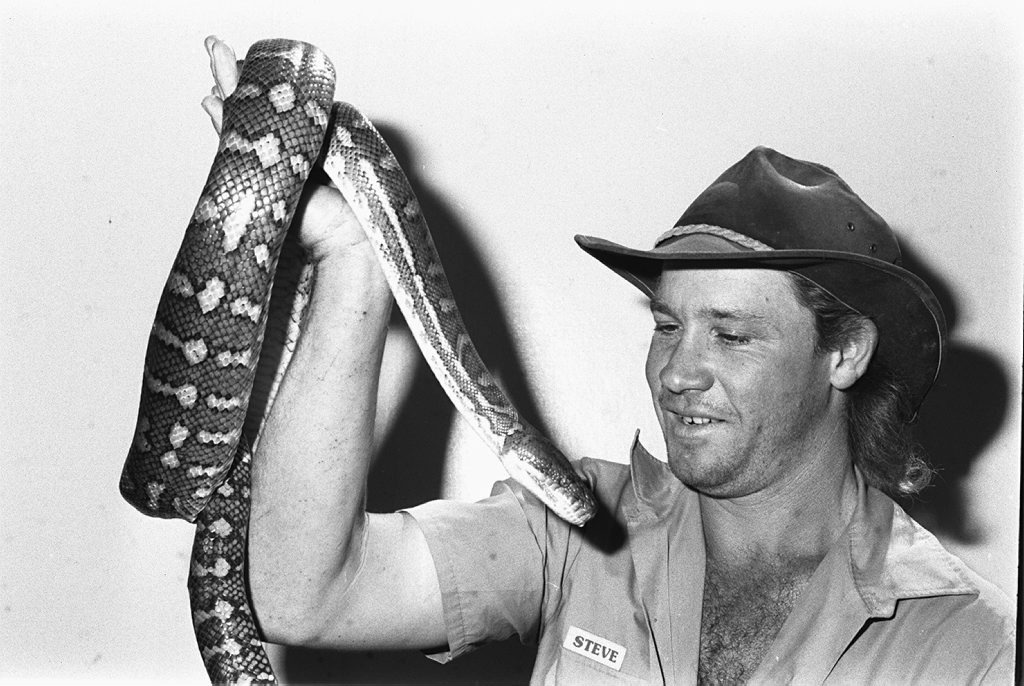 Steve Irwin at the Queensland Reptile and Fauna Park at Beerwah (later to become Australia Zoo) with a carpet python. Photo: Sunshine Coast Daily Archives Neg: 6052 16 September 1991 Steve Irwin at the Queensland Reptile and Fauna Park at Beerwah (later to become Australia Zoo) with a carpet python. Photo: Sunshine Coast Daily Archives Neg: 6052 16 September 1991