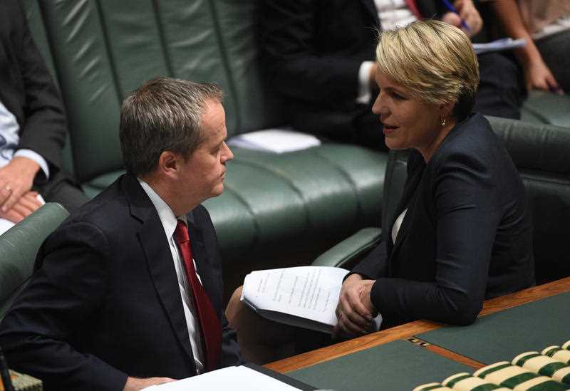 Federal Labor opposition leader Bill Shorten and deputy opposition leader Tanya Plibersek speak during Question Time. Federal Labor opposition leader Bill Shorten and deputy opposition leader Tanya Plibersek speak during Question Time.