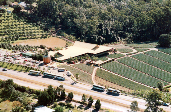 Aerial view of the Big Pineapple, 1985
Photo Courtesy of Sunshine Coast Council’s Heritage Library, Picture Sunshine Coast Collection Aerial view of the Big Pineapple, 1985
Photo Courtesy of Sunshine Coast Council’s Heritage Library, Picture Sunshine Coast Collection