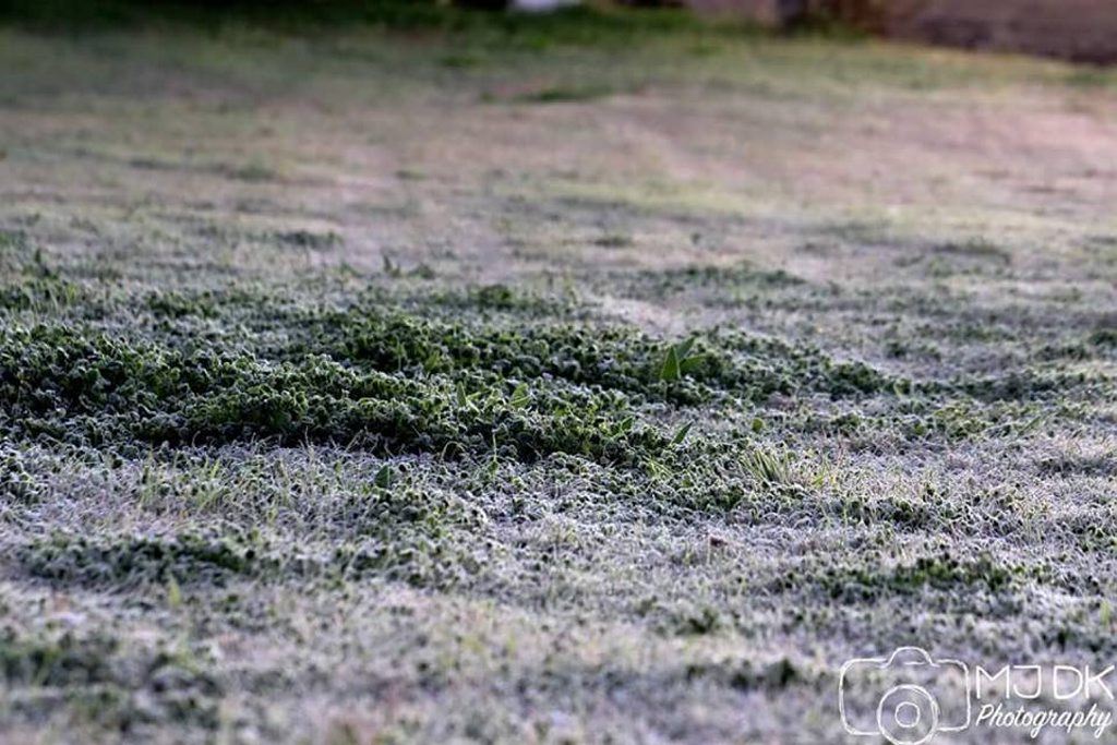 Winter's bite is still nipping at the heels of Sunshine Coast residents. Winter's bite is still nipping at the heels of Sunshine Coast residents.