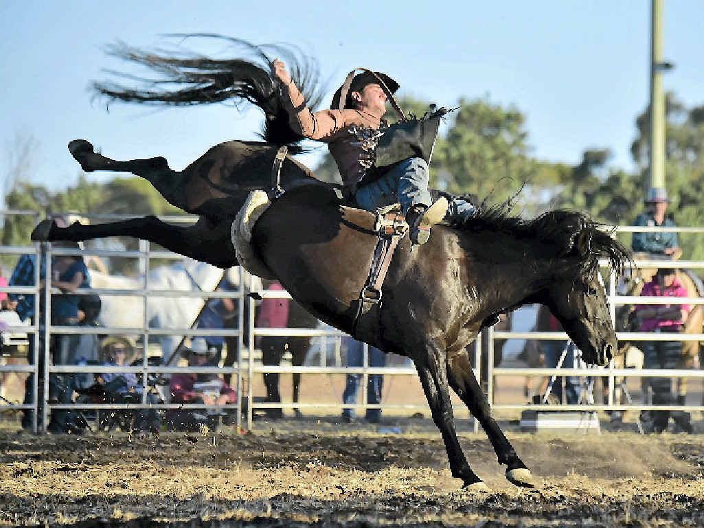 NEARLY PERFECT: Rider Owen Lee, pictured on Don’t Tease Me in Warwick earlier this year, fell just short of recording a perfect month. Photo: http://www.dephotos.com NEARLY PERFECT: Rider Owen Lee, pictured on Don’t Tease Me in Warwick earlier this year, fell just short of recording a perfect month. Photo: http://www.dephotos.com