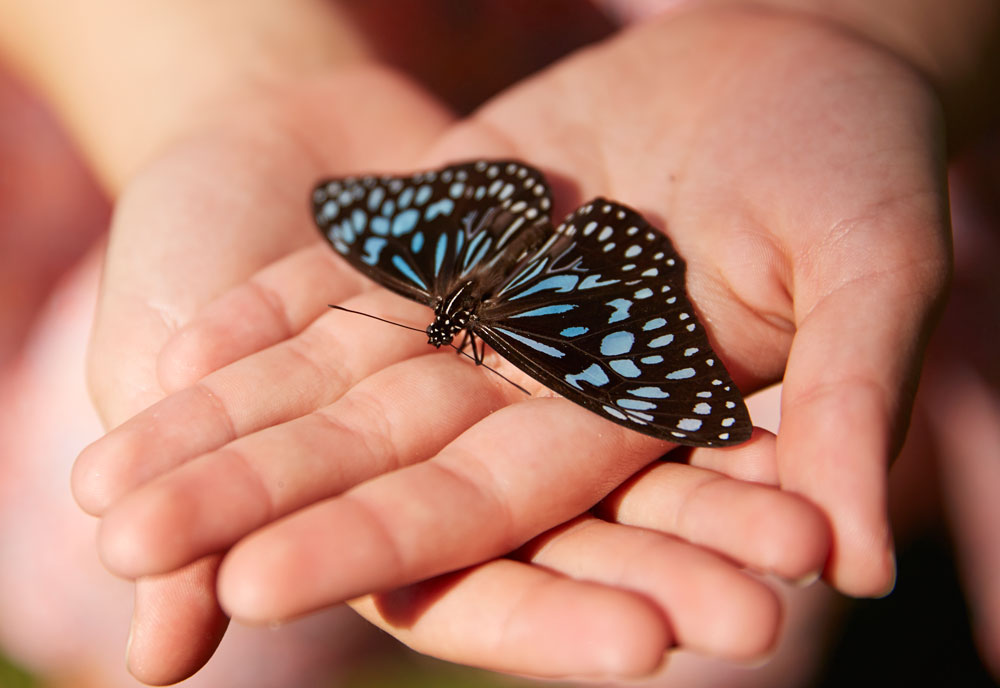 Photo: Tourism and Events Queensland Photo: Tourism and Events Queensland