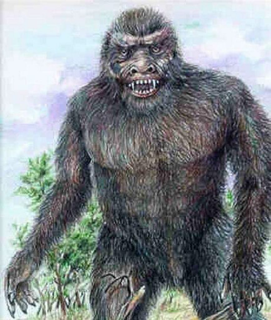 Mulgowie Yowie. Photo: Contributed Mulgowie Yowie. Photo: Contributed