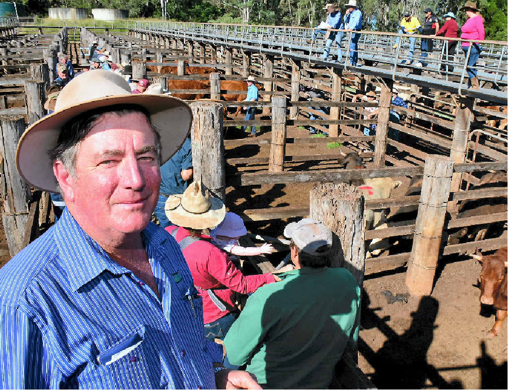 COOLABUNIA SALEYARD: Livestock agent Bill Steffensen says weather is the biggest hurdle for cattle farmers in the colder months. COOLABUNIA SALEYARD: Livestock agent Bill Steffensen says weather is the biggest hurdle for cattle farmers in the colder months.