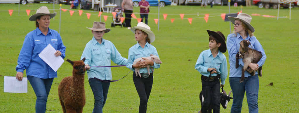 ACTION-PACKED: Family fun is number one at this year’s 61st annual Yeppoon Show. ACTION-PACKED: Family fun is number one at this year’s 61st annual Yeppoon Show.