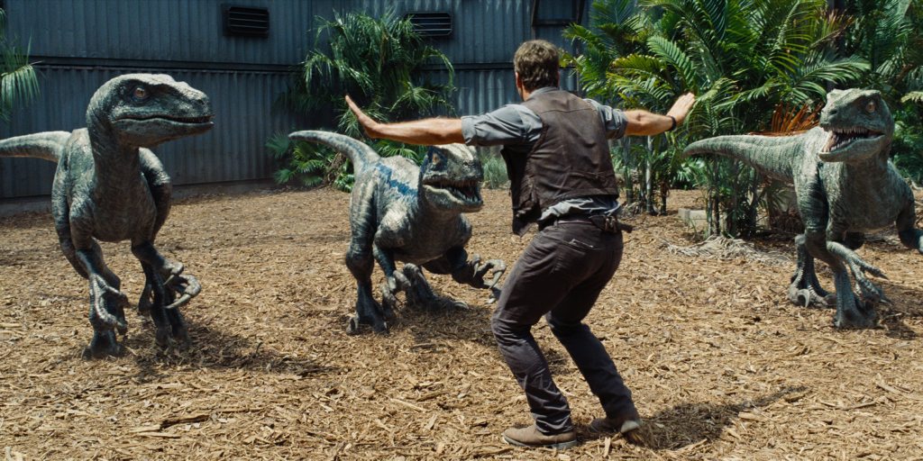 Chris Pratt in a scene from the movie Jurassic World. Chris Pratt in a scene from the movie Jurassic World.