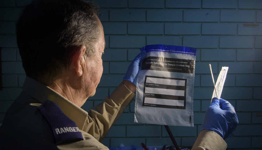A Clarence Valley Council ranger with the DNA swabs collected for evidence. Photo Adam Hourigan / The Daily Examiner A Clarence Valley Council ranger with the DNA swabs collected for evidence. Photo Adam Hourigan / The Daily Examiner