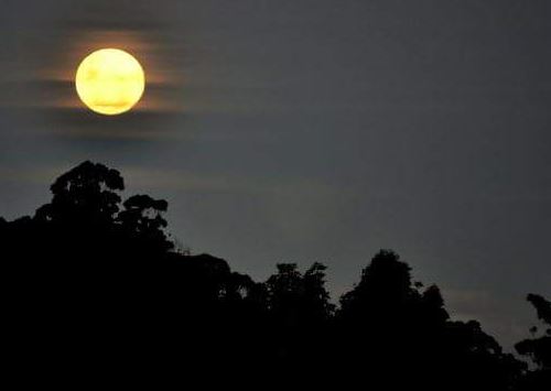 A spectacular full moon rises above Coffs Harbour and the legendary Pacific coast. A spectacular full moon rises above Coffs Harbour and the legendary Pacific coast.