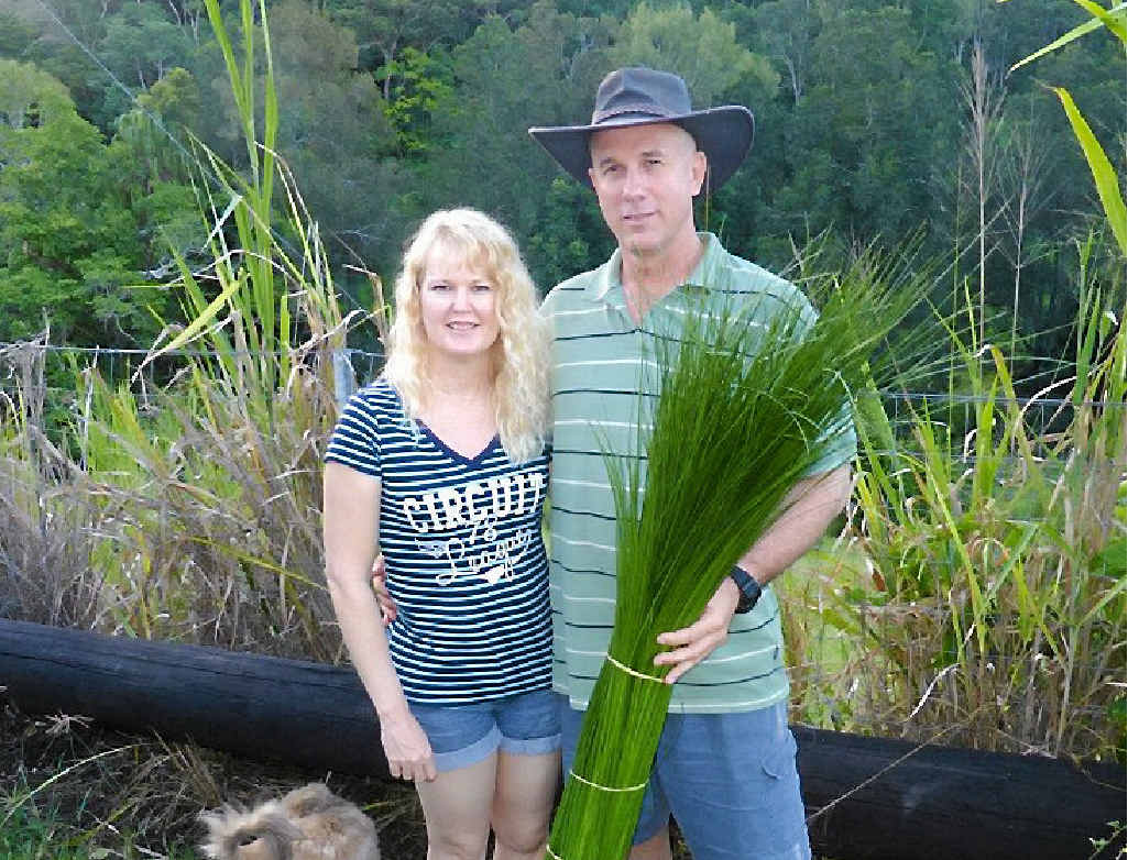FLORAL HARVEST: Ross and Angela Bailey harvest grass tree stems, which are exported for use in floral arrangements in New York and Paris. FLORAL HARVEST: Ross and Angela Bailey harvest grass tree stems, which are exported for use in floral arrangements in New York and Paris.