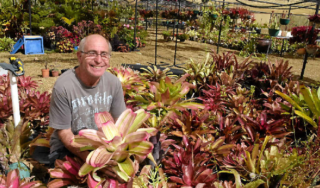 Richard Corndale in his garden at Calliope. Richard Corndale in his garden at Calliope.