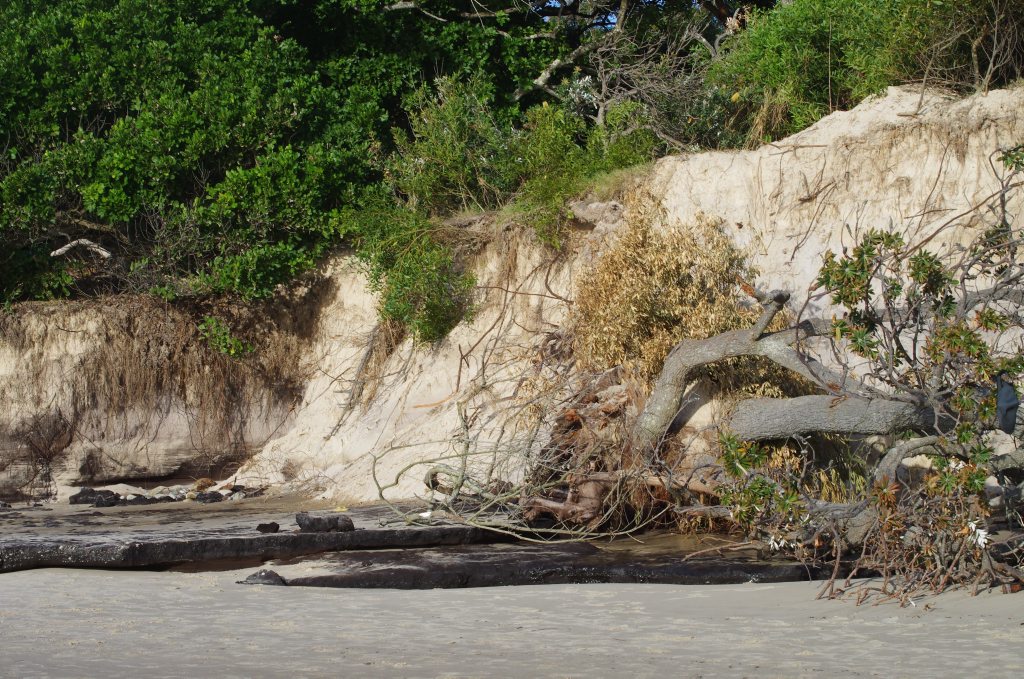Deb Milgate took these photos of the erosion damage at at Clarkes Beach this morning. Photo Contributed Deb Milgate took these photos of the erosion damage at at Clarkes Beach this morning. Photo Contributed