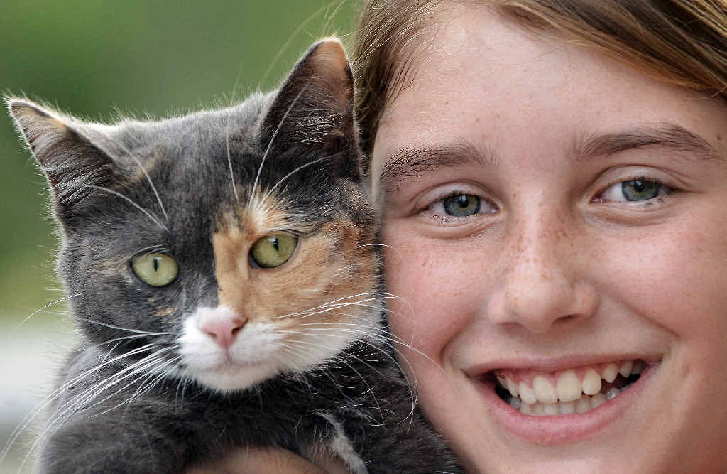 PURR-FECTLY OKAY: Alicia Tozzetti is glad to have five-month-old Sox back after she was stuck up a tree for five days. PURR-FECTLY OKAY: Alicia Tozzetti is glad to have five-month-old Sox back after she was stuck up a tree for five days.
