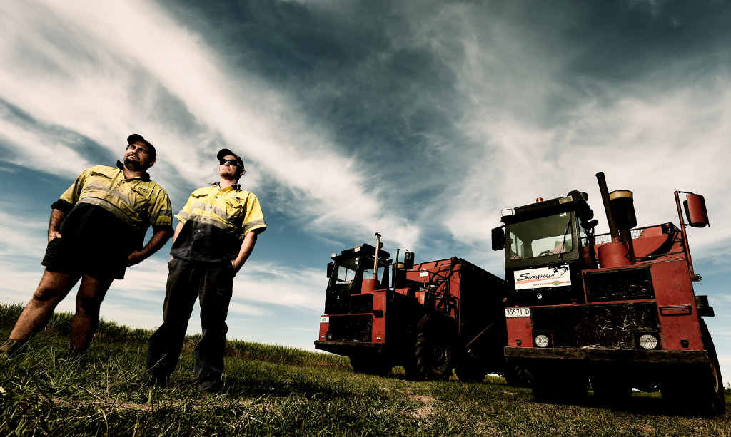 ALIVE AND KICKING: Lower Richmond River Cane Harvesting Co-op employees Lyndon Murphy and Steve Dorey at Pimlico for the harvesting season. ALIVE AND KICKING: Lower Richmond River Cane Harvesting Co-op employees Lyndon Murphy and Steve Dorey at Pimlico for the harvesting season.