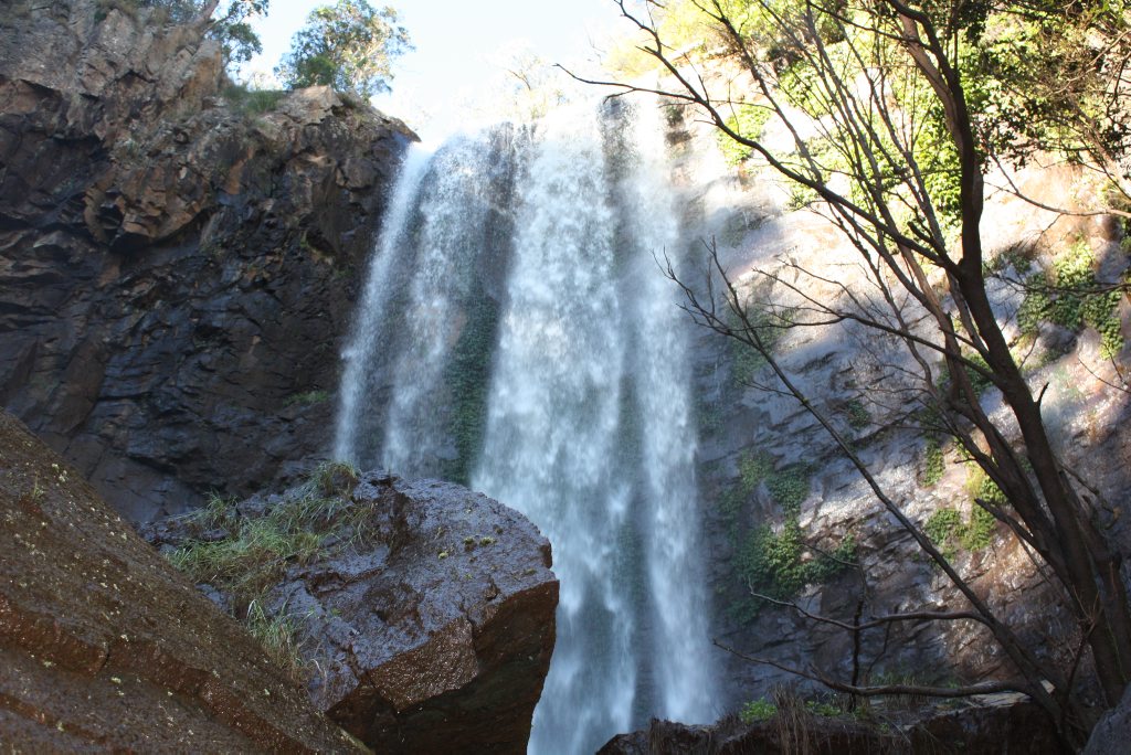 Take a walk through beautiful Queen Mary Falls. Photo Candyce Braithwaite / Warwick Daily News