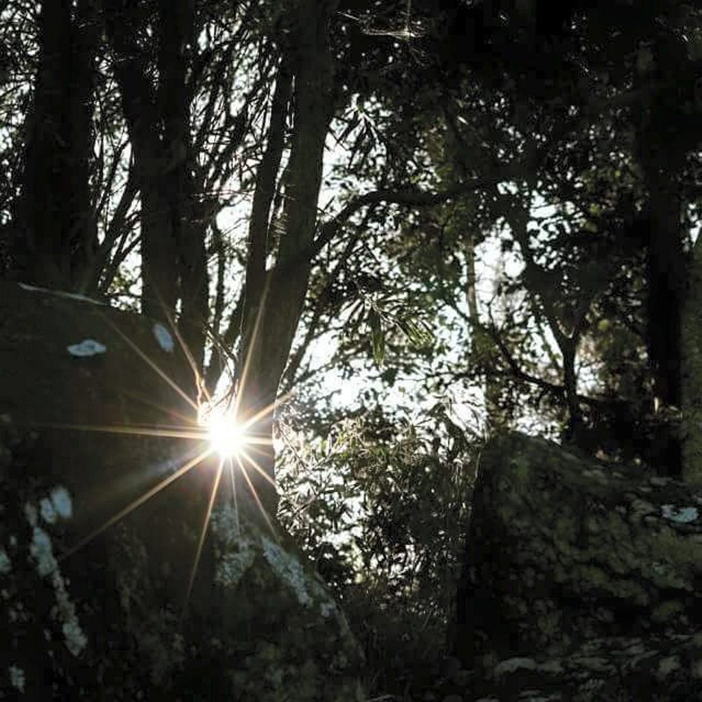 Tanya Bennett captured this image at the Brunswick Heads River.