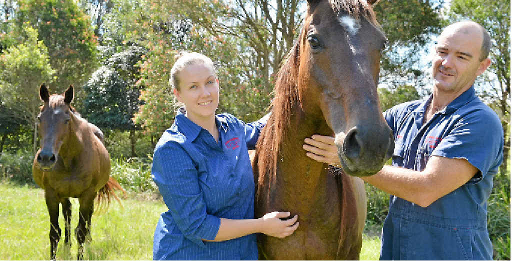 RARE BUT LETHAL: Gympie vet Justin Schooth will also speak at an information evening on the hendra threat at The Pavilion later this month. RARE BUT LETHAL: Gympie vet Justin Schooth will also speak at an information evening on the hendra threat at The Pavilion later this month.