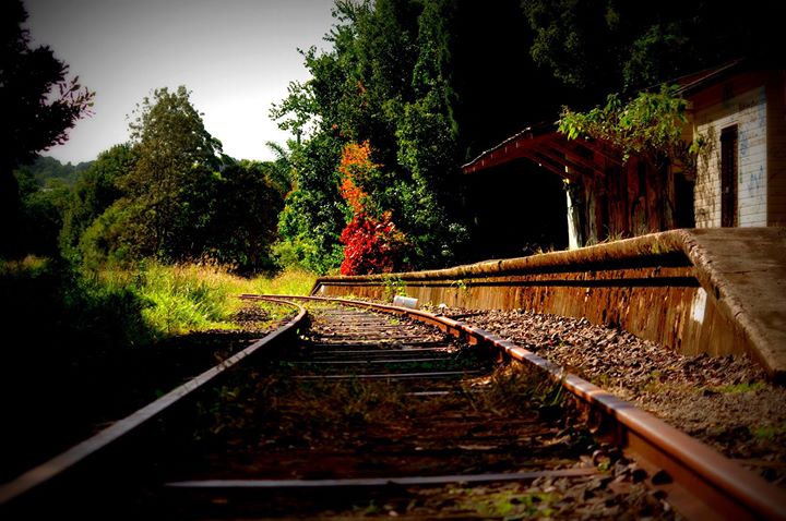 Russell Riordan: The Old Bangalow train Station.