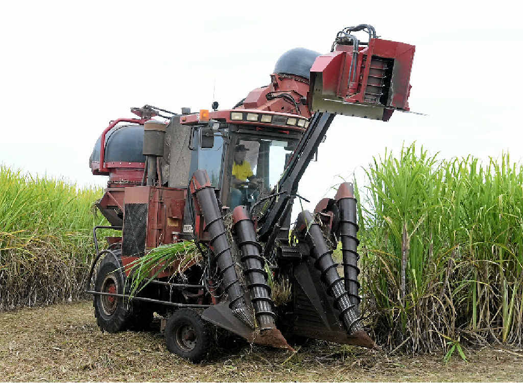 NEW RULES: Moving cane harvesters will now require a police escort, a move that has growers upset. NEW RULES: Moving cane harvesters will now require a police escort, a move that has growers upset.
