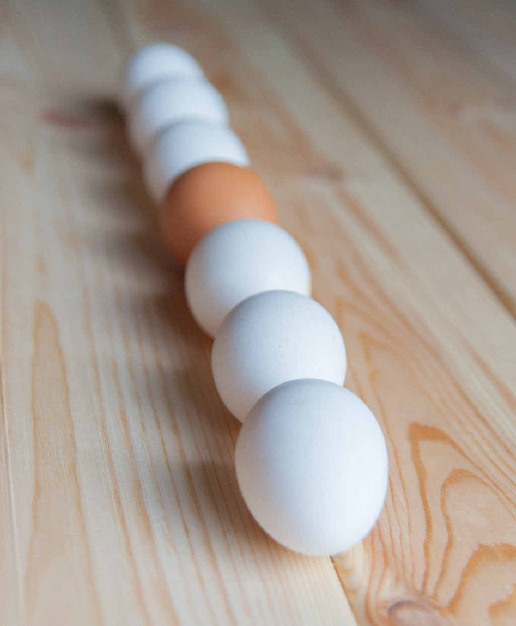 Eggs are delicious and nutritious breakfast foods for school kids. Eggs are delicious and nutritious breakfast foods for school kids.