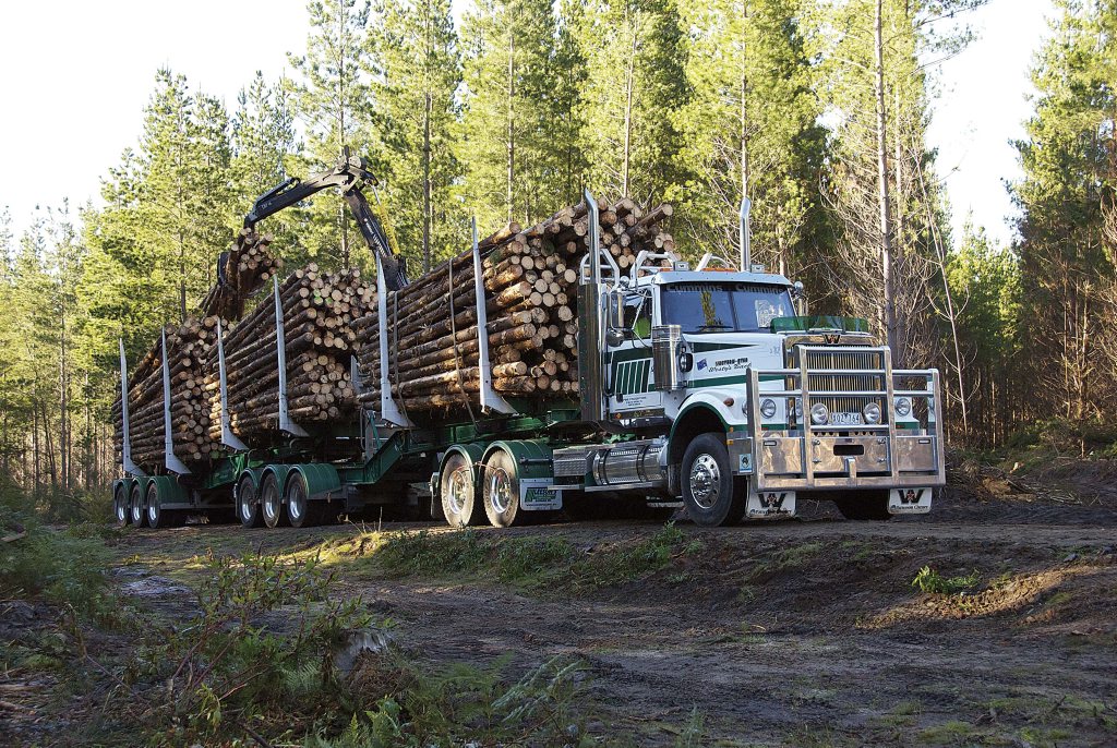 30 B-Double haulage trucks will be carting timber throughout Byfield for the next 18 months. 30 B-Double haulage trucks will be carting timber throughout Byfield for the next 18 months.