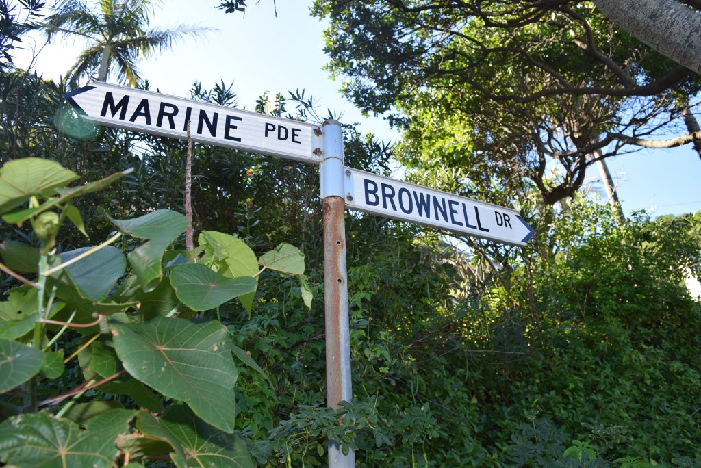 HIPSTER SQUATTERS: Brownell Drive at Watego Beach. HIPSTER SQUATTERS: Brownell Drive at Watego Beach.