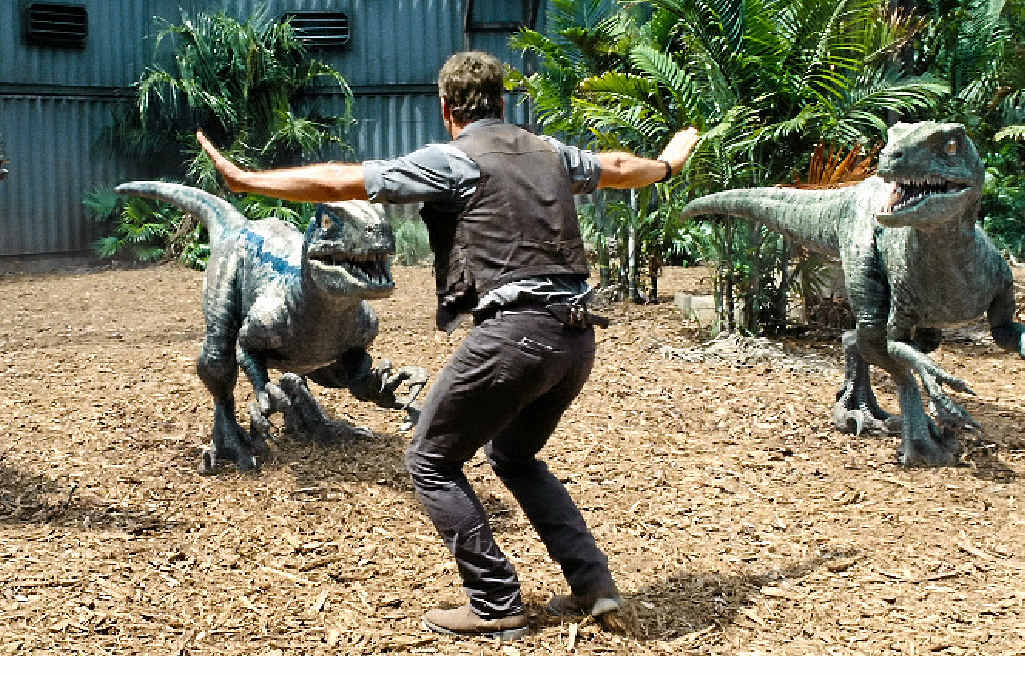 DINO-MITE: Chris Pratt’s character Owen has developed a bond with the fierce. DINO-MITE: Chris Pratt’s character Owen has developed a bond with the fierce.