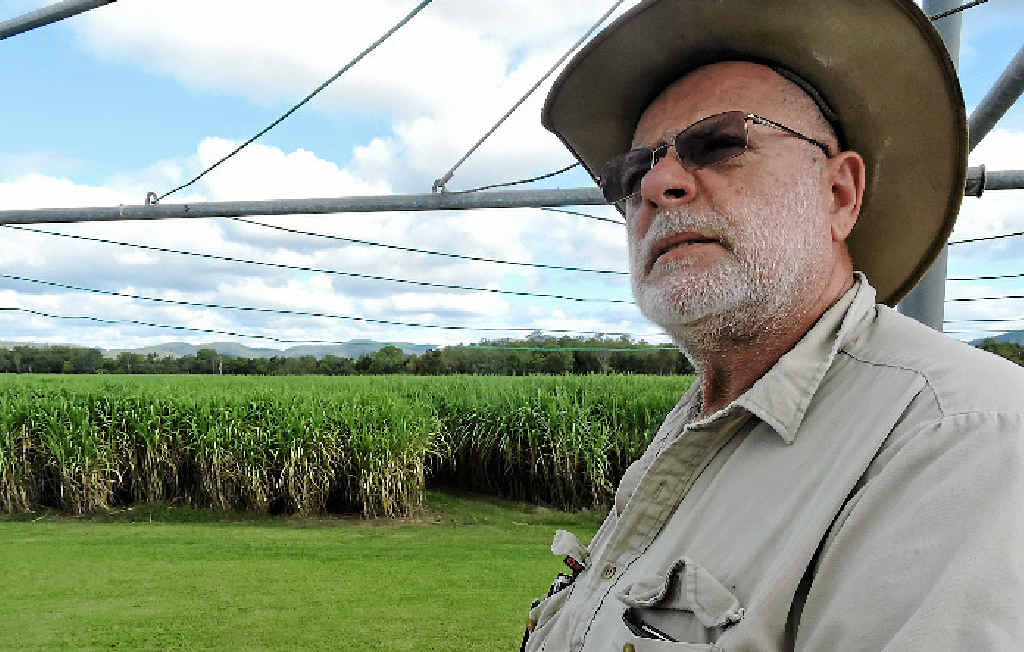 IMPORTANT MOVE: Koumala cane farmer Serg Berardi says getting a code of conduct surrounding sugar marketing is critical. IMPORTANT MOVE: Koumala cane farmer Serg Berardi says getting a code of conduct surrounding sugar marketing is critical.