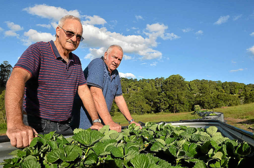 BATTLE LOOMS: Sunshine Valley Men’s Shed wants the council to make good on land donated by Ray Grace. BATTLE LOOMS: Sunshine Valley Men’s Shed wants the council to make good on land donated by Ray Grace.