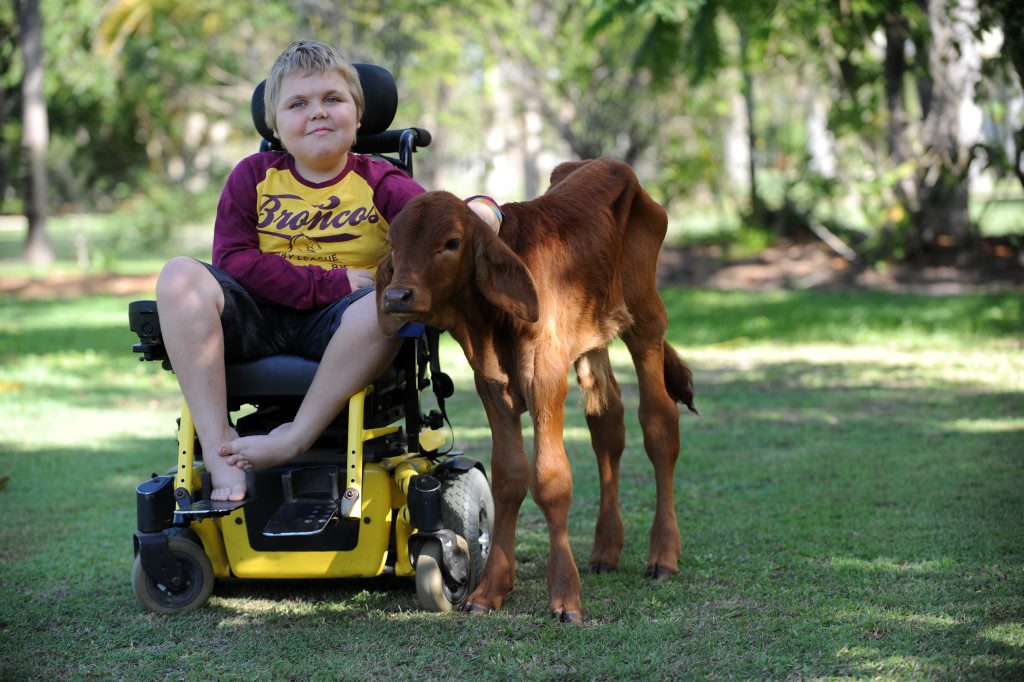 KEEPING MOBILE: James Spokes with his family pet LG. His family is raising funds for a new vehicle to transport James in his wheelchair. Photo: Mike Knott / NewsMail KEEPING MOBILE: James Spokes with his family pet LG. His family is raising funds for a new vehicle to transport James in his wheelchair. Photo: Mike Knott / NewsMail
