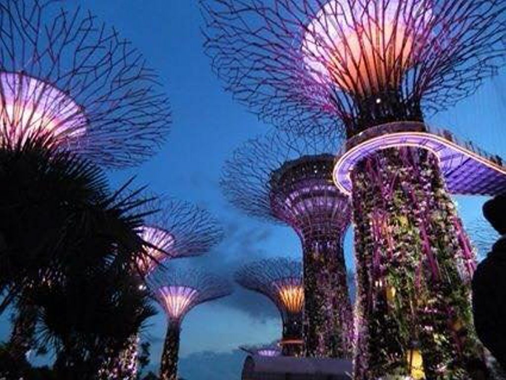 Tiffany Holmes: Singapore in September 2013.