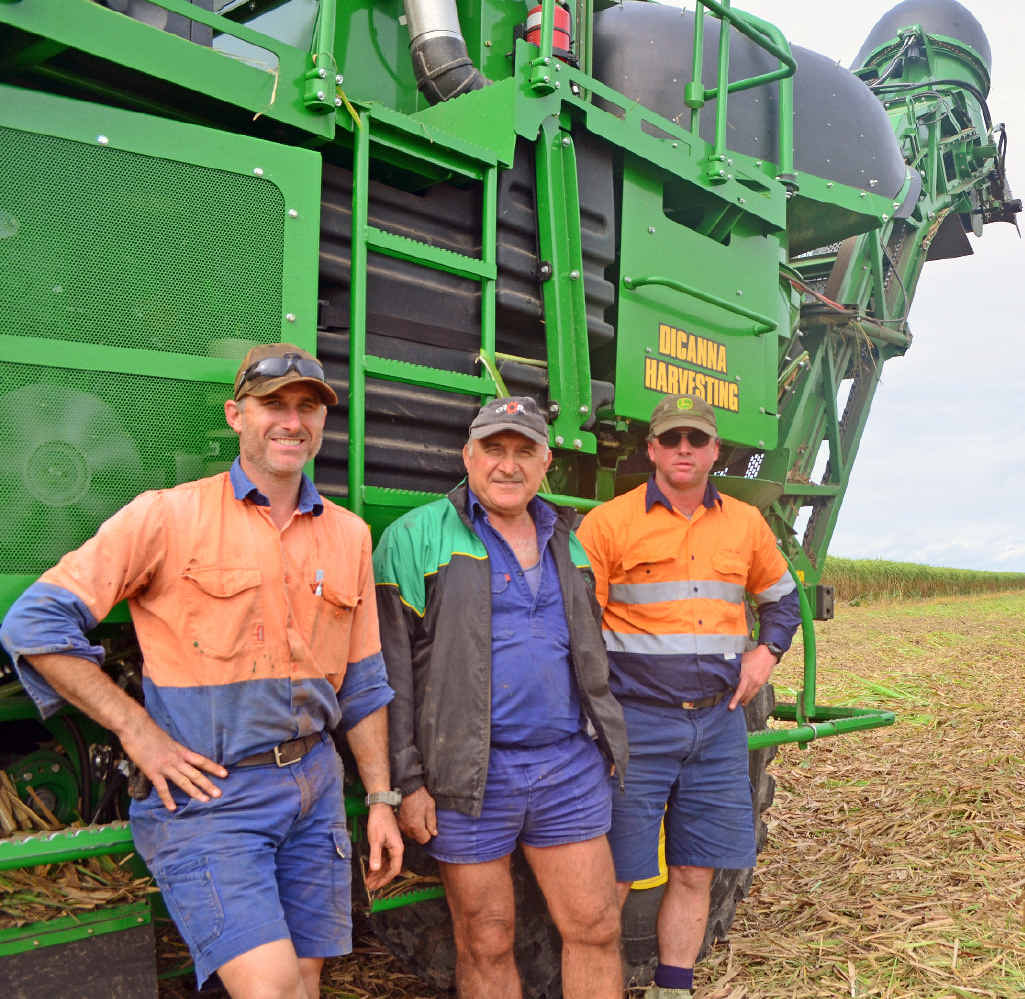 HARD YAKKA: Canegrowers Michael Russo, Joe Russo and Roderick Jensen are excited about this year’s crushing season. HARD YAKKA: Canegrowers Michael Russo, Joe Russo and Roderick Jensen are excited about this year’s crushing season.